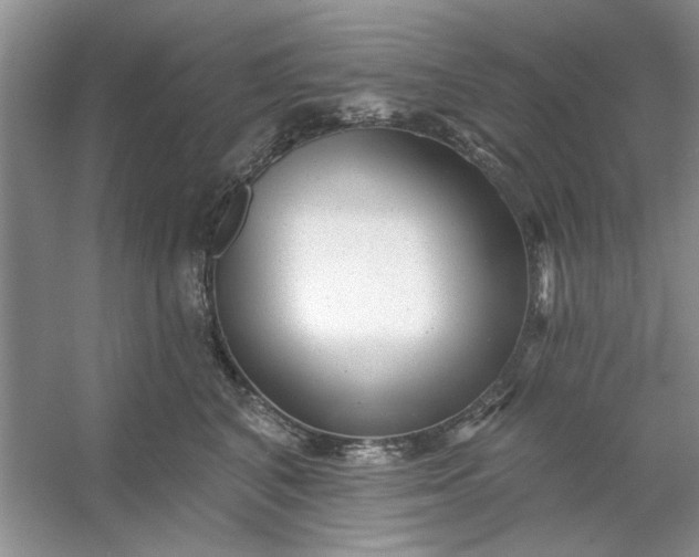 X0000053120616200507251725