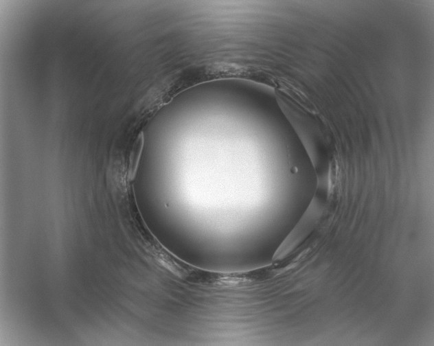 X0000053120617200507251725