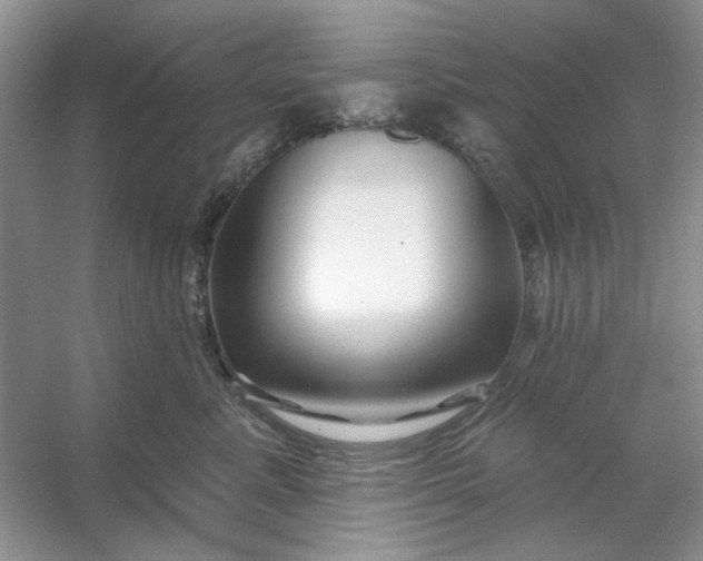 X0000053120619200507251725