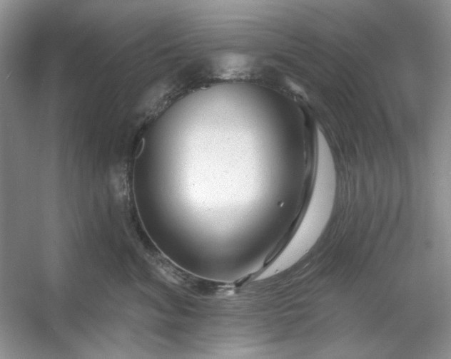 X0000053120620200507251725