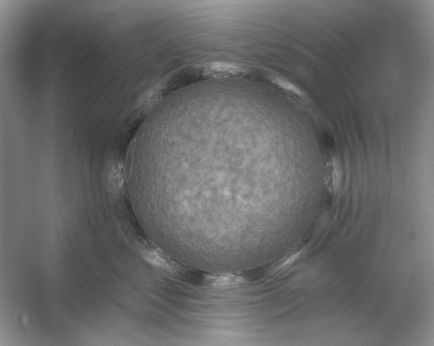 X0000053120621200507251725