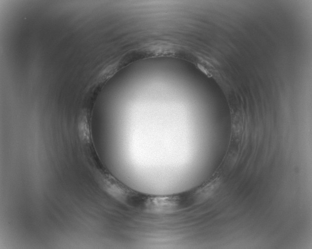 X0000053120622200507251725