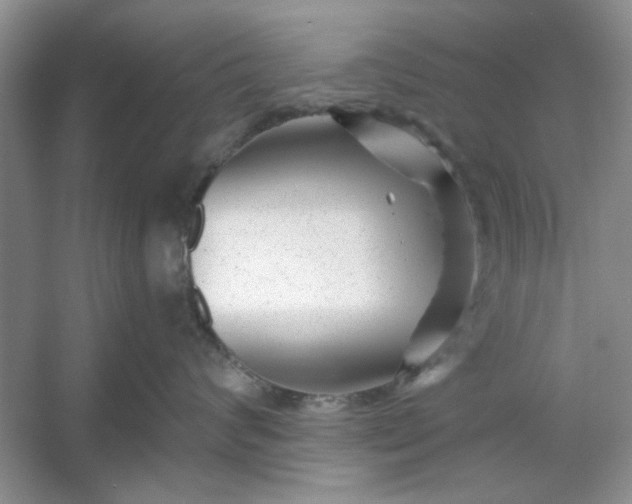 X0000053120624200507251725