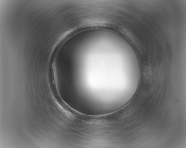 X0000053120629200507251724
