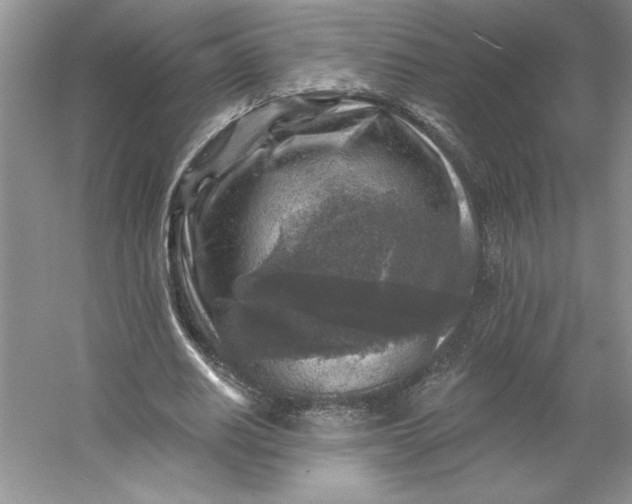 X0000053120630200507251724