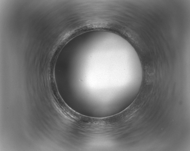 X0000053120631200507251724