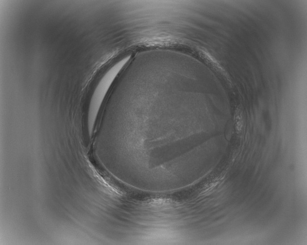 X0000053120637200507251724