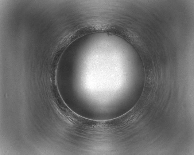 X0000053120639200507251724