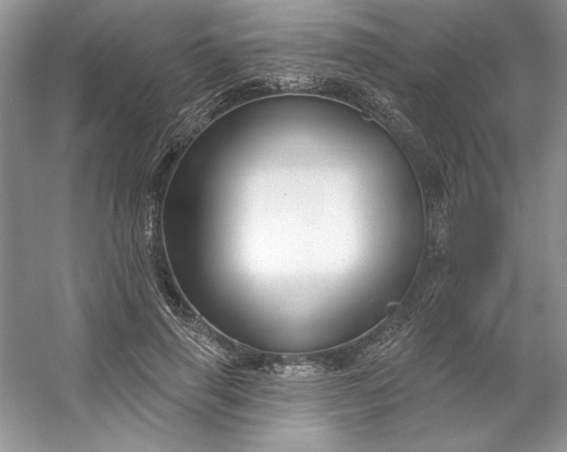 X0000053120645200507251724