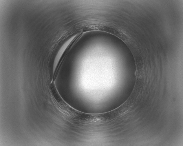 X0000053120646200507251724
