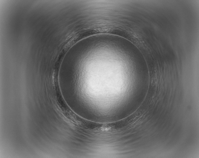 X0000053120647200507251724