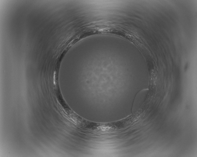 X0000053120650200507251724