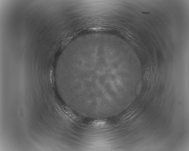 X0000053120651200507251724