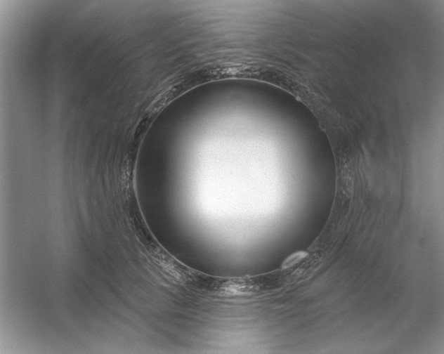 X0000053120657200507251724
