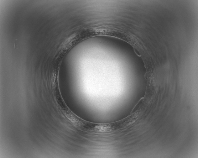 X0000053120660200507251724