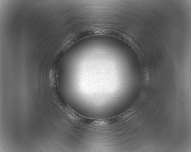 X0000053120667200507251725