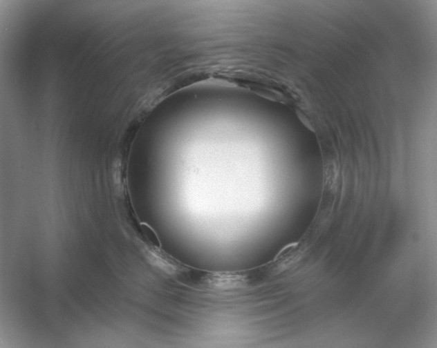 X0000053120670200507251725