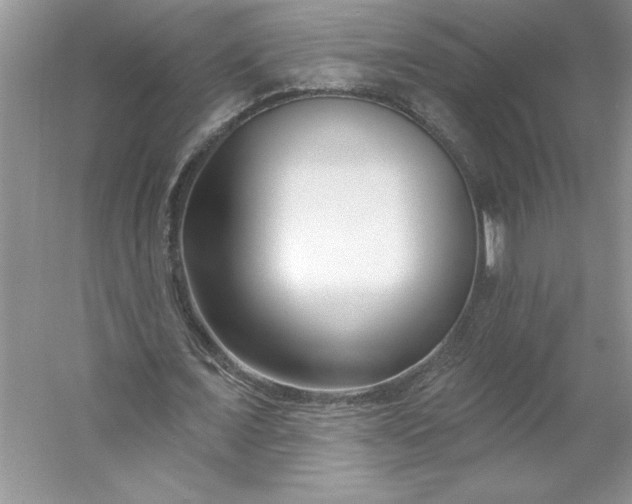 X0000053120675200507251724