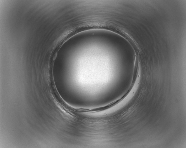 X0000053120677200507251724