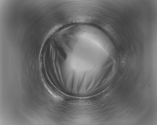 X0000053120678200507251724