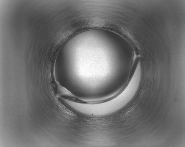 X0000053120681200507251724