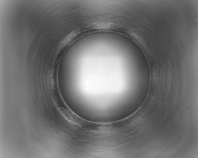 X0000053120682200507251724