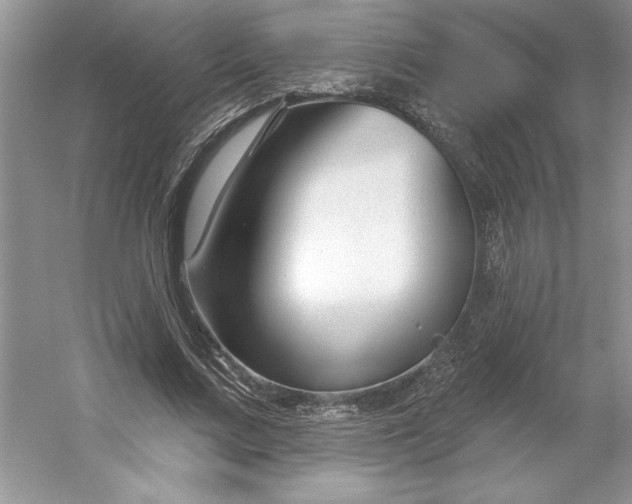 X0000053120683200507251724