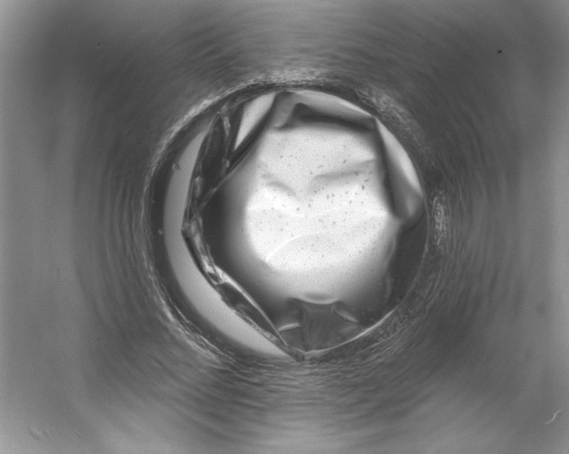 X0000053120684200507251724