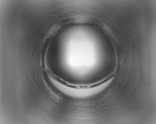 X0000053120685200507251724