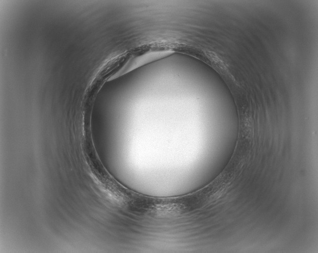 X0000053120686200507251724