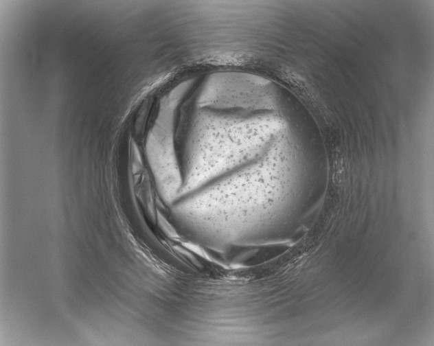 X0000053120688200507251724