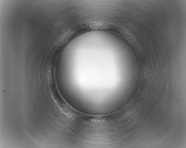 X0000053120690200507251724