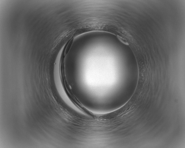 X0000053120693200507251723