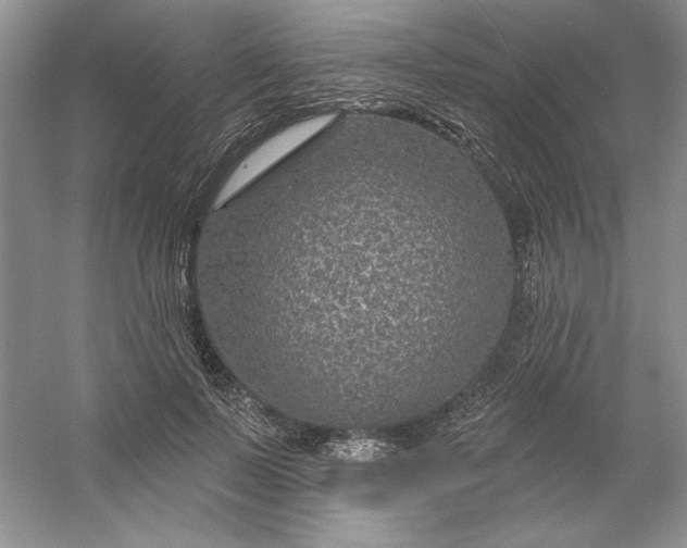 X0000053120695200507251723