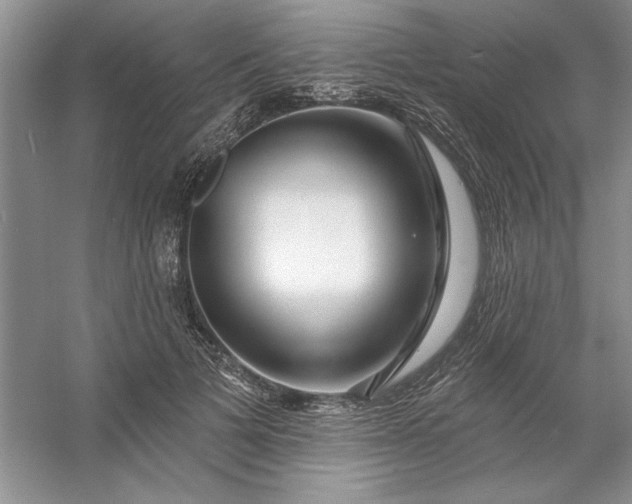 X0000053120697200507251723