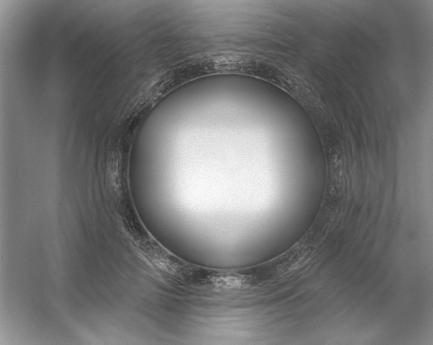 X0000053120698200507251723