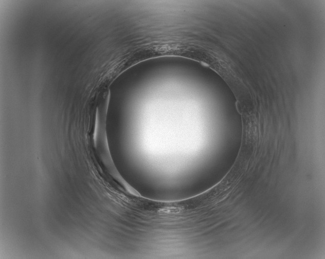 X0000053120700200507251723