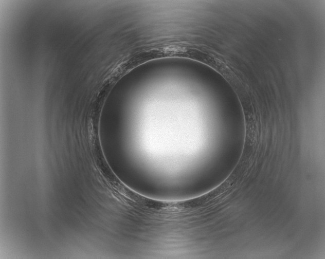 X0000053120704200507251723