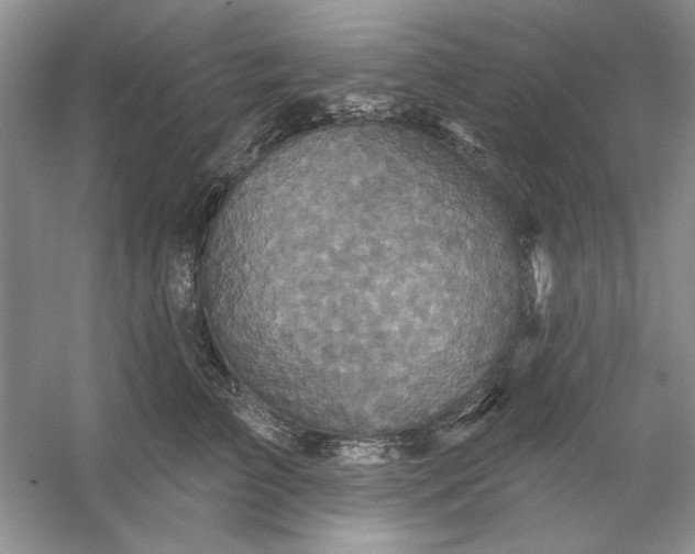 X0000053120709200507251723