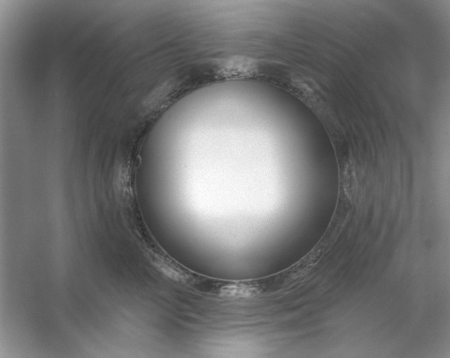 X0000053120714200507251723