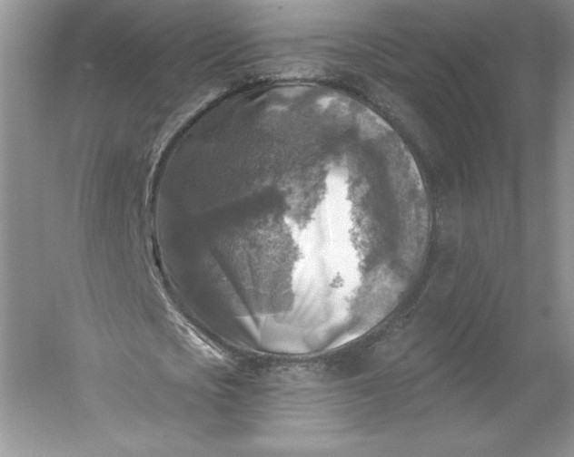 X0000053120721200507251722