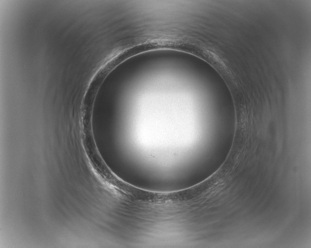 X0000053120730200507251722