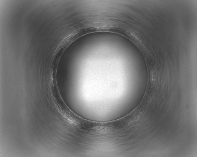 X0000053120733200507251722