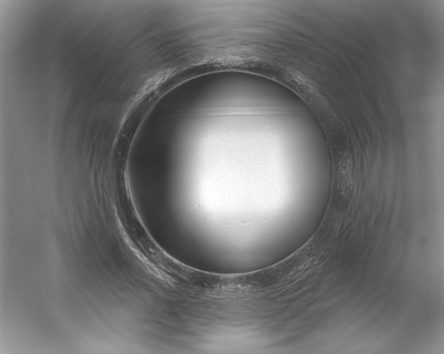 X0000053120734200507251722