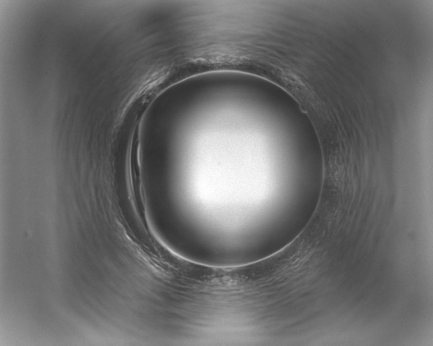 X0000053120735200507251722