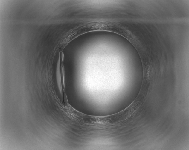 X0000053120737200507251722