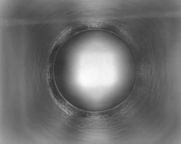X0000053120738200507251722