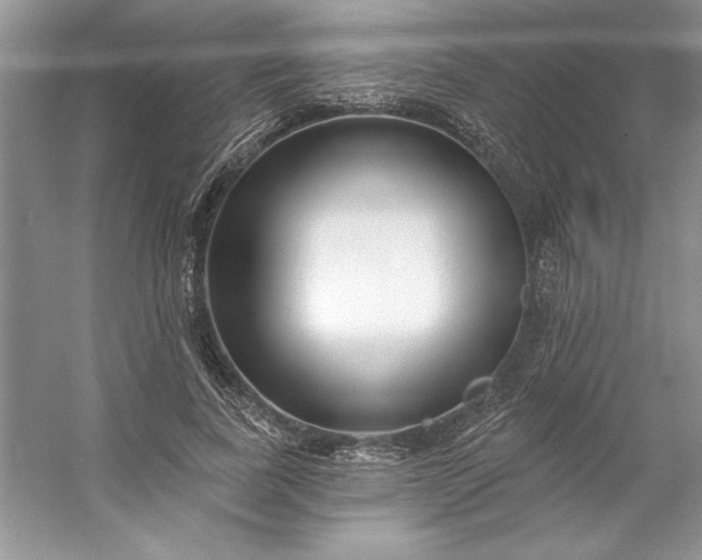 X0000053120739200507251723