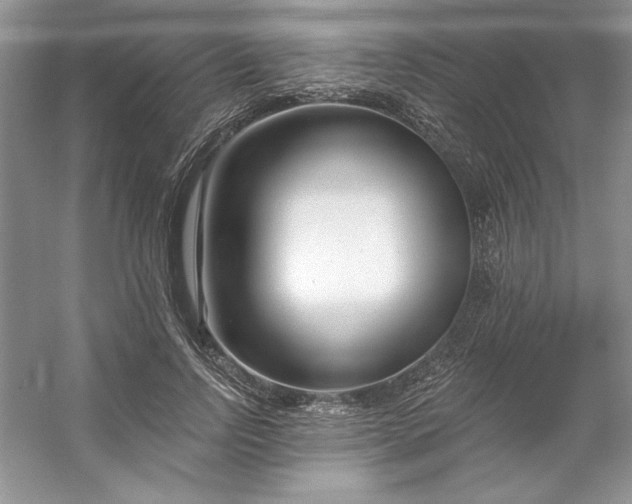 X0000053120742200507251723
