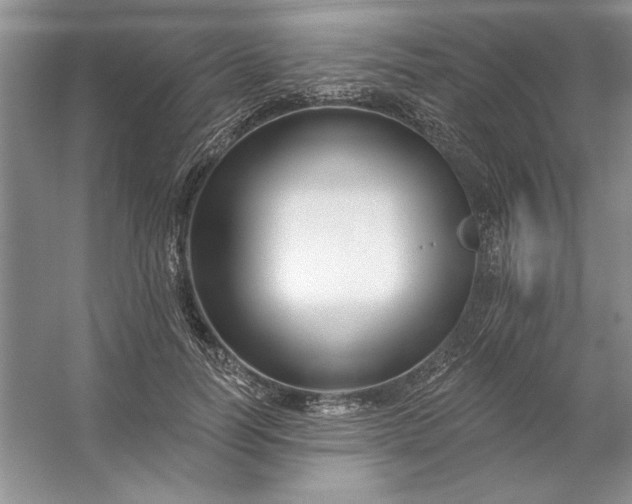 X0000053120746200507251723